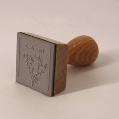 Stempel Pflanze
