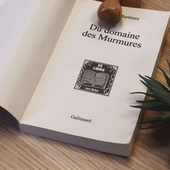 Stempel Ex-libris Buch weiß auf schwarz